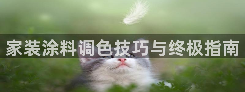 和记国际开户网站：家装涂料调色技巧与终极指南