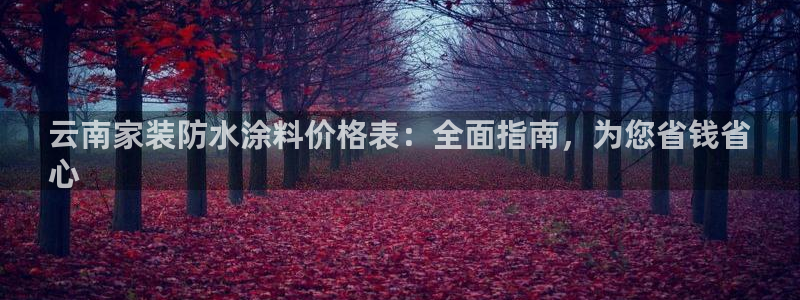 和记官方直营注册：云南家装防水涂料价格表：全面指南，为您省钱